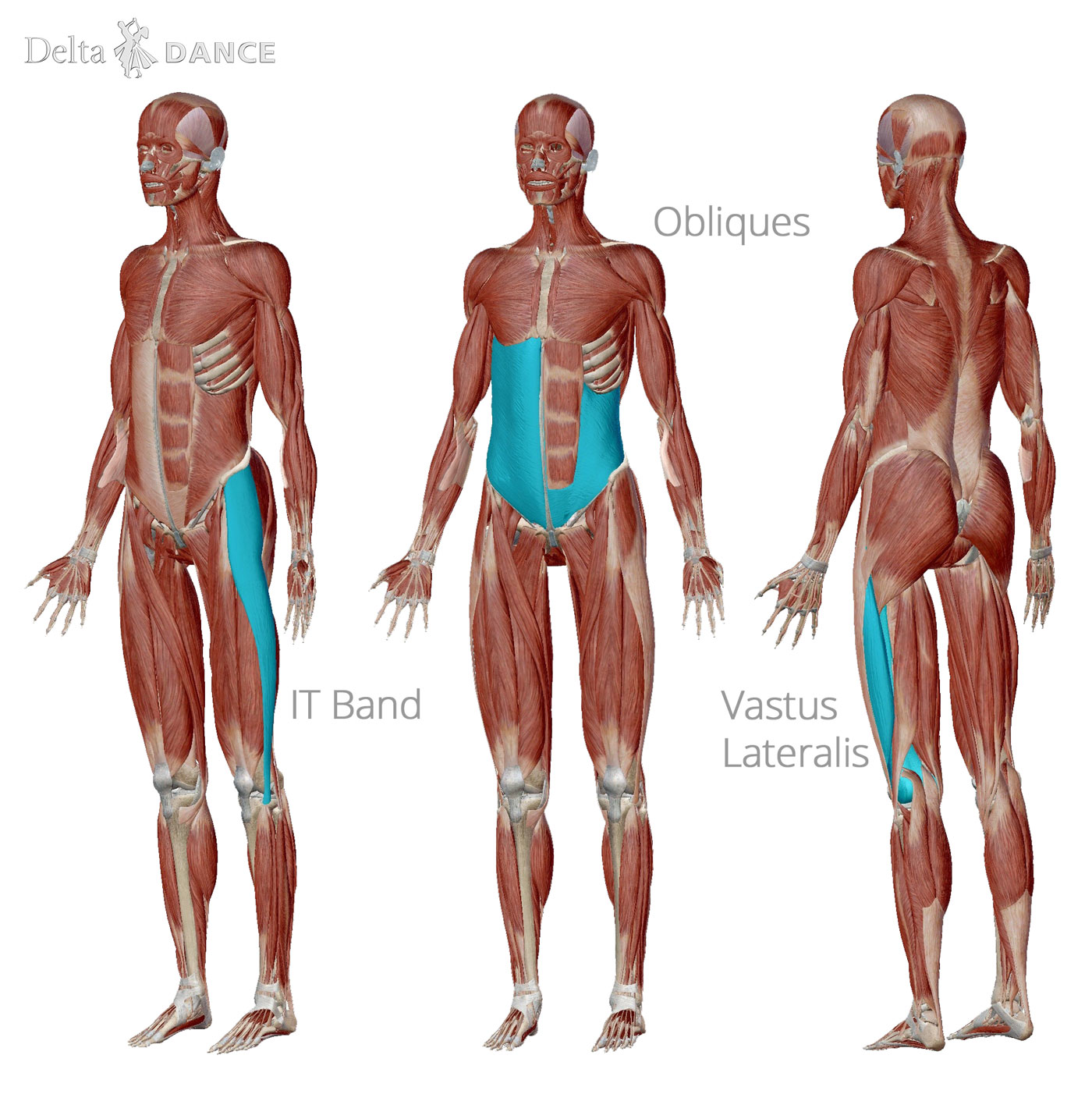 Rotational muscles used for dancing