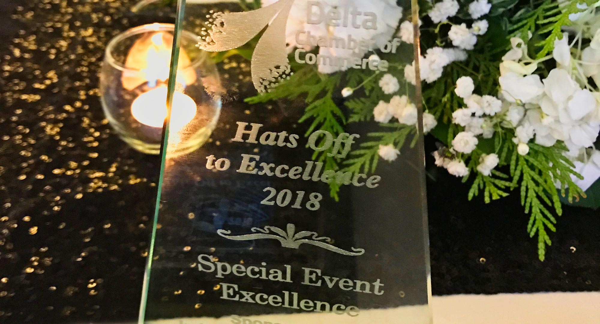 Delta Cup wins 2018 Excellence Award